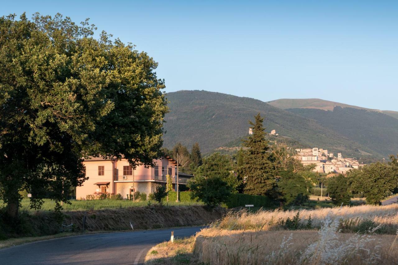 Bed & Breakfast Al Pian D'אסיסי מראה חיצוני תמונה
